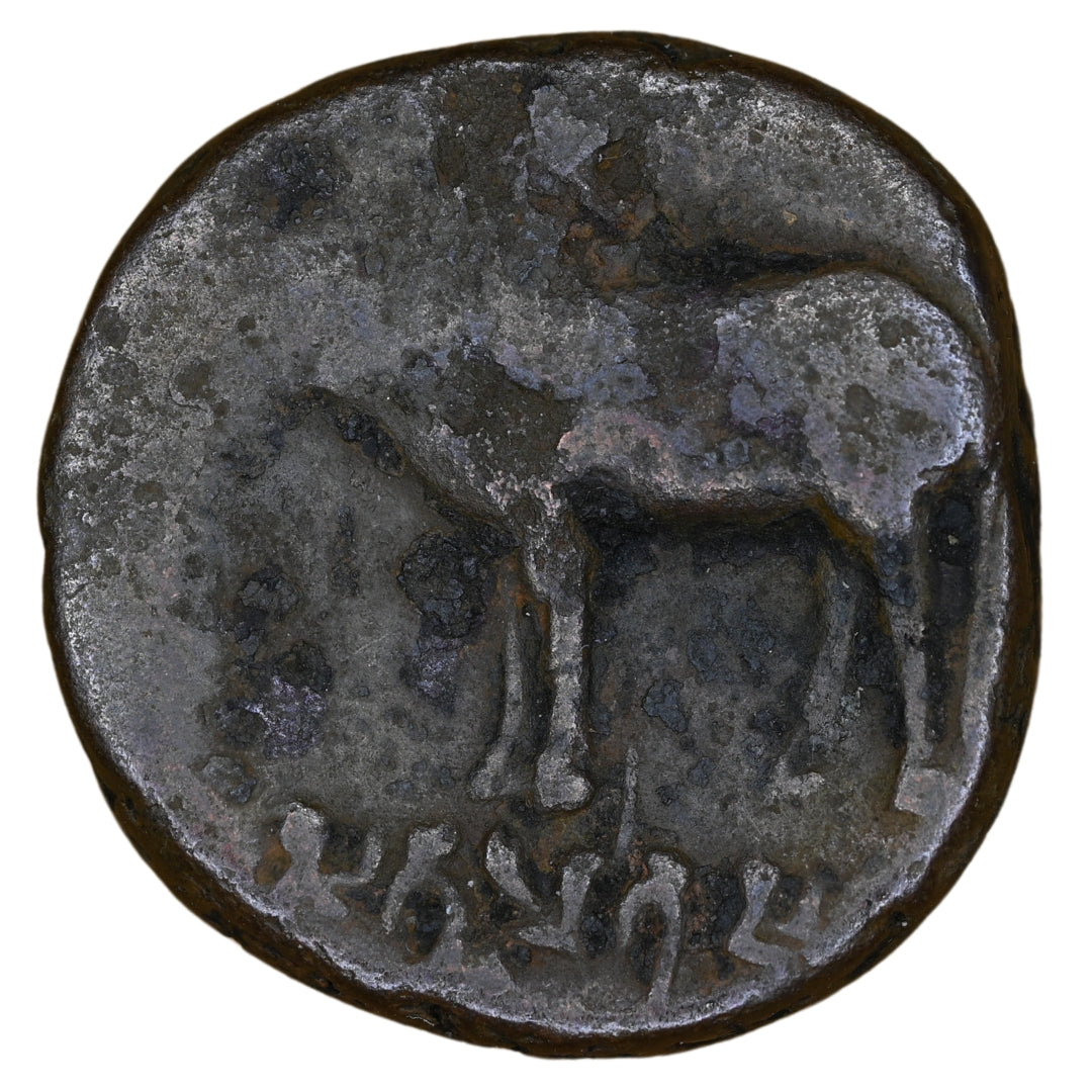 Ayodhya, Mitra Kings Of Kosala, Satyamitra, Copper Unit