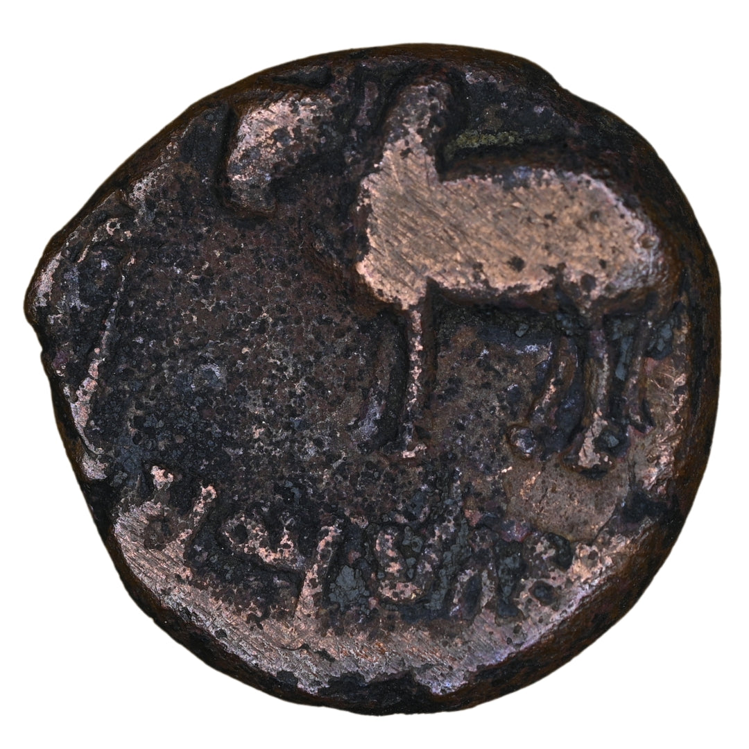 Ayodhya, Mitra Kings Of Kosala, Satyamitra, Copper Unit