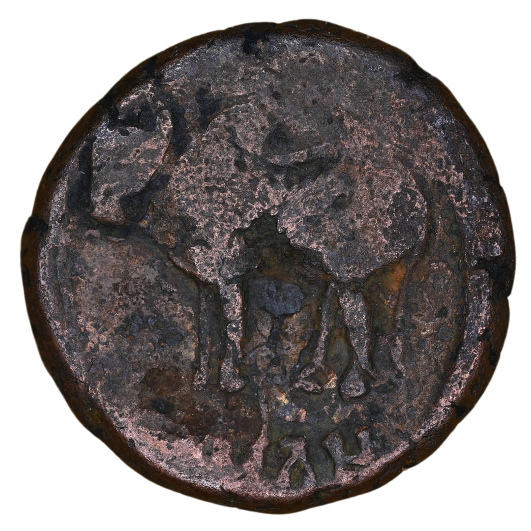 Ayodhya, Mitra Kings Of Kosala, Satyamitra, Copper Unit