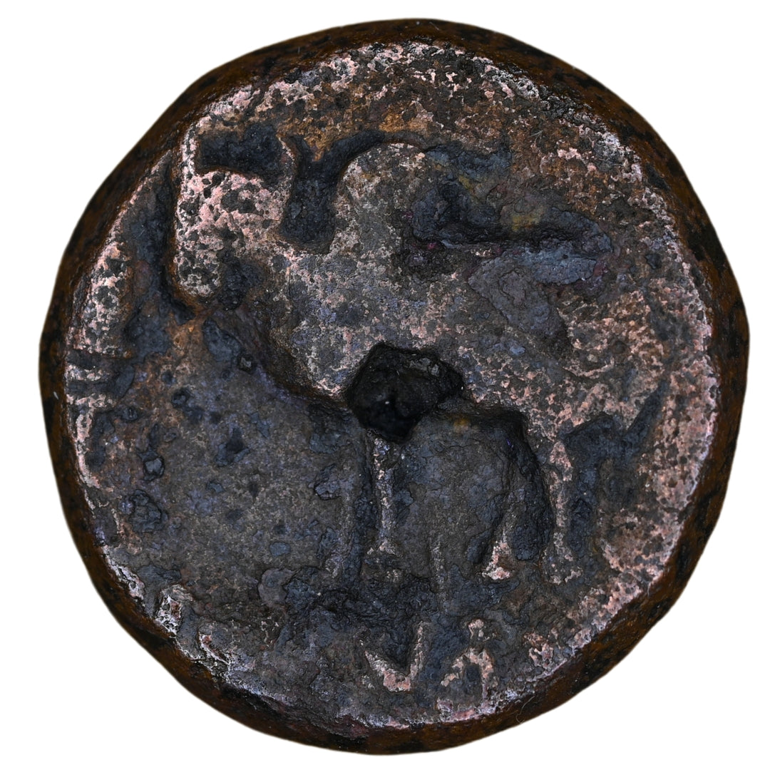 Ayodhya, Mitra Kings Of Kosala, Satyamitra, Copper Unit